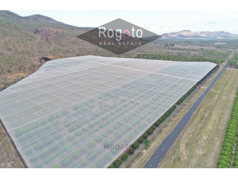 Mutchilba QLD 4872