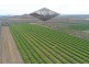 Mutchilba QLD 4872