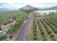 Mutchilba QLD 4872