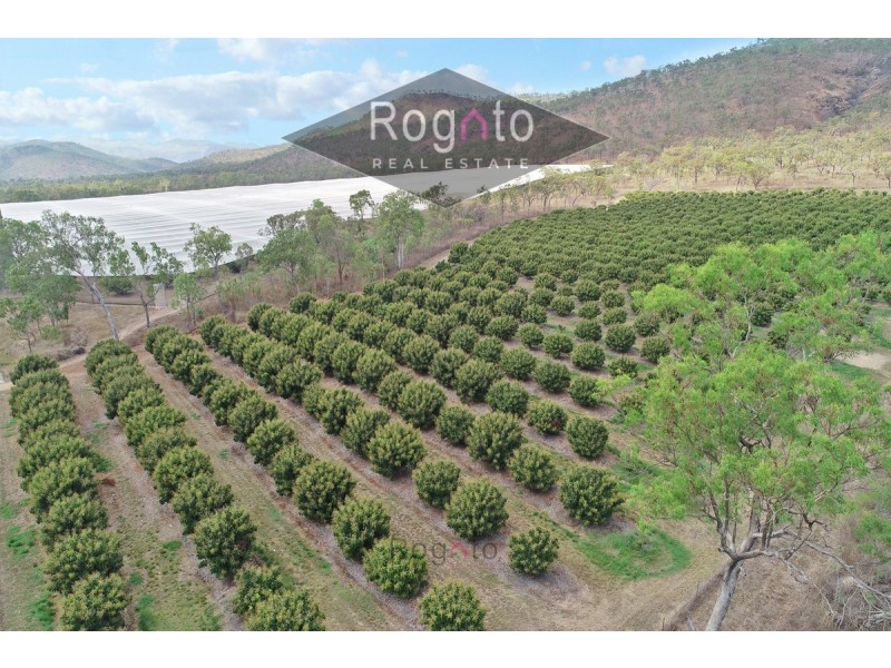Mutchilba QLD 4872