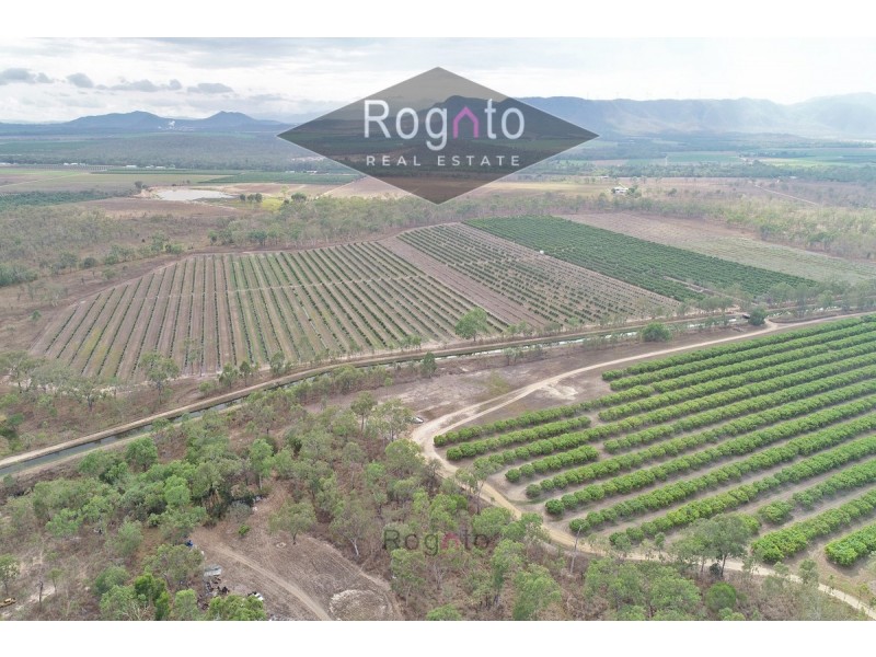 Mutchilba QLD 4872