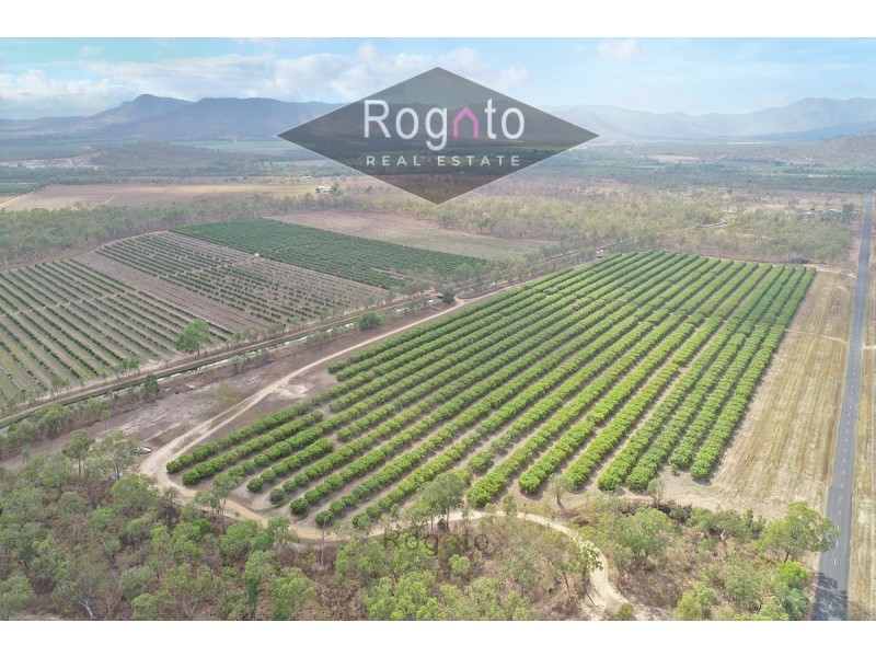 Mutchilba QLD 4872