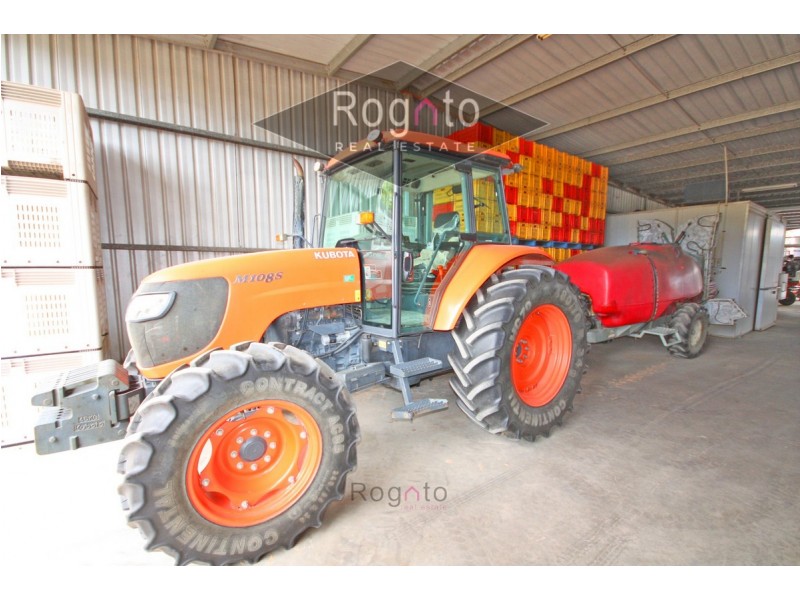 Mutchilba QLD 4872