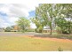 Mareeba QLD 4880