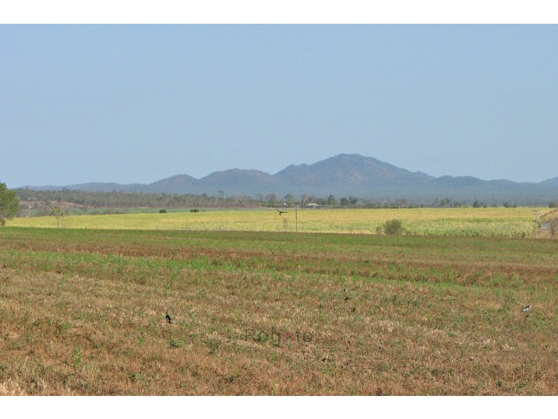 Mareeba QLD 4880