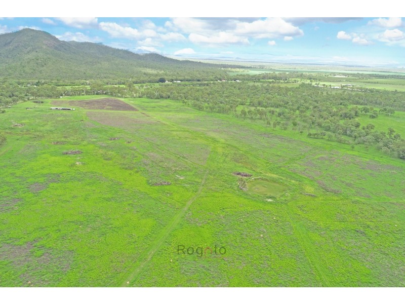 3123 Dimbulah Road, Mutchilba QLD 4872