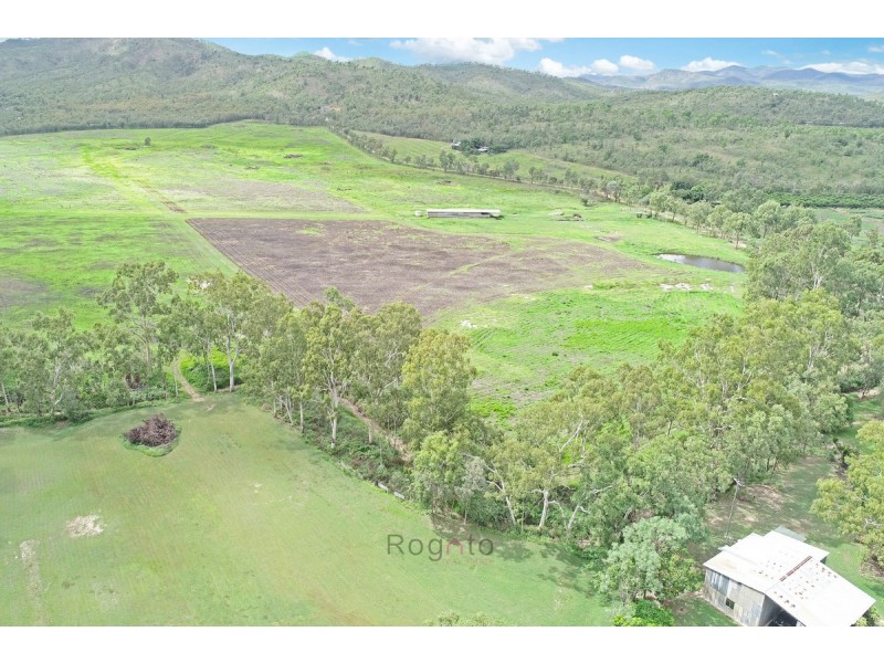 3123 Dimbulah Road, Mutchilba QLD 4872