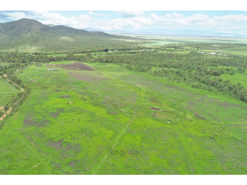 3123 Dimbulah Road, Mutchilba QLD 4872