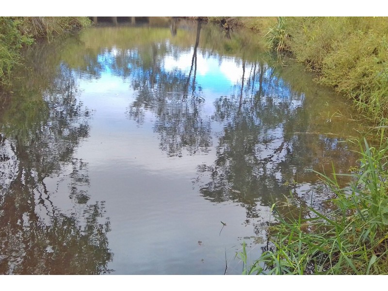 23 Wrights Road, Mareeba QLD 4880