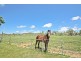 Dimbulah QLD 4872