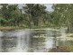 Dimbulah QLD 4872