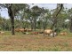 Dimbulah QLD 4872