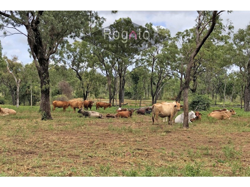 Dimbulah QLD 4872