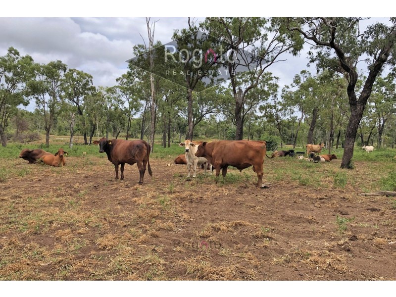 Dimbulah QLD 4872