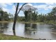 Dimbulah QLD 4872