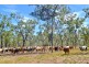Dimbulah QLD 4872