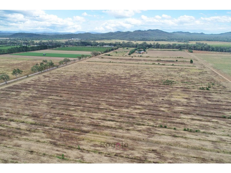 Mareeba QLD 4880