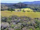 1529 Black Mountain Road, Kuranda QLD 4881