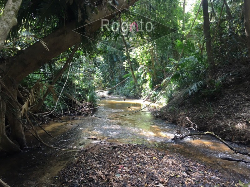 1529 Black Mountain Road, Kuranda QLD 4881