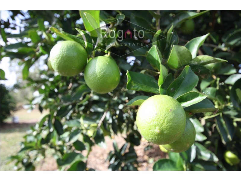 208 George Fabris Road, Mareeba QLD 4880