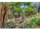 629 Bilwon Road, Biboohra QLD 4880