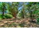 629 Bilwon Road, Biboohra QLD 4880