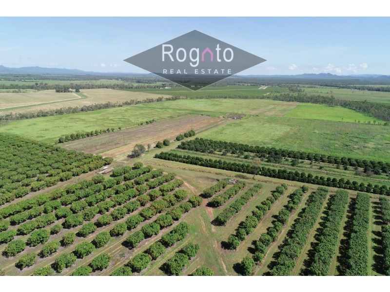 139 Robinson Road, Mutchilba QLD 4872