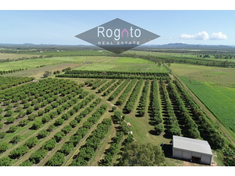 139 Robinson Road, Mutchilba QLD 4872