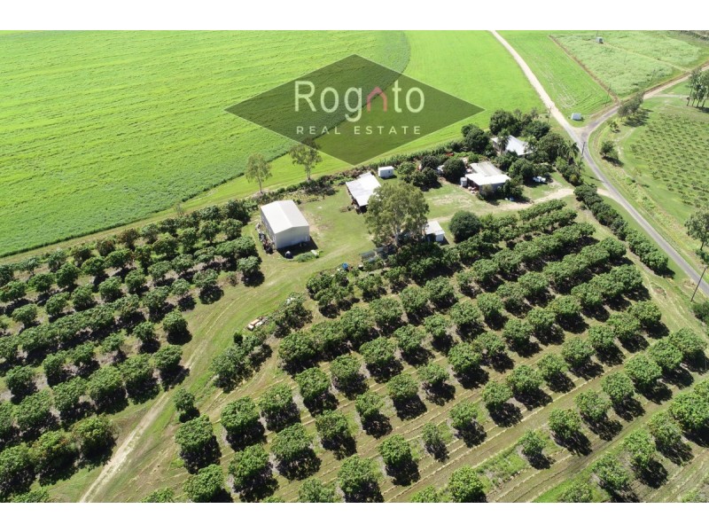 139 Robinson Road, Mutchilba QLD 4872