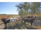 Mareeba QLD 4880