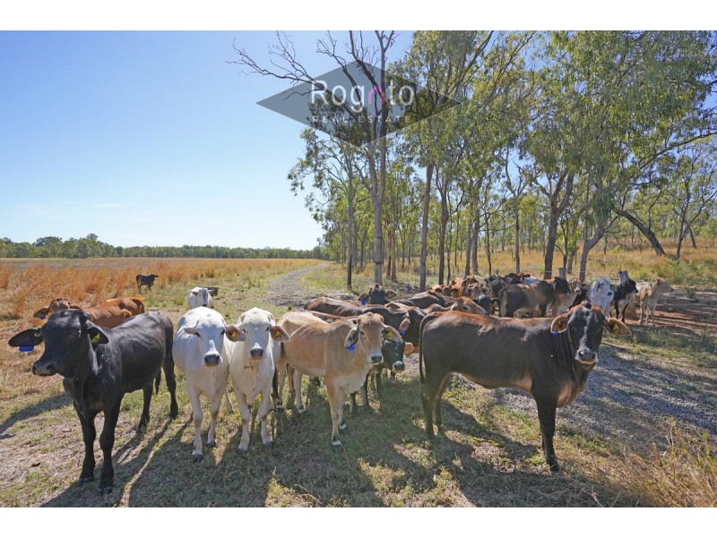 Mareeba QLD 4880