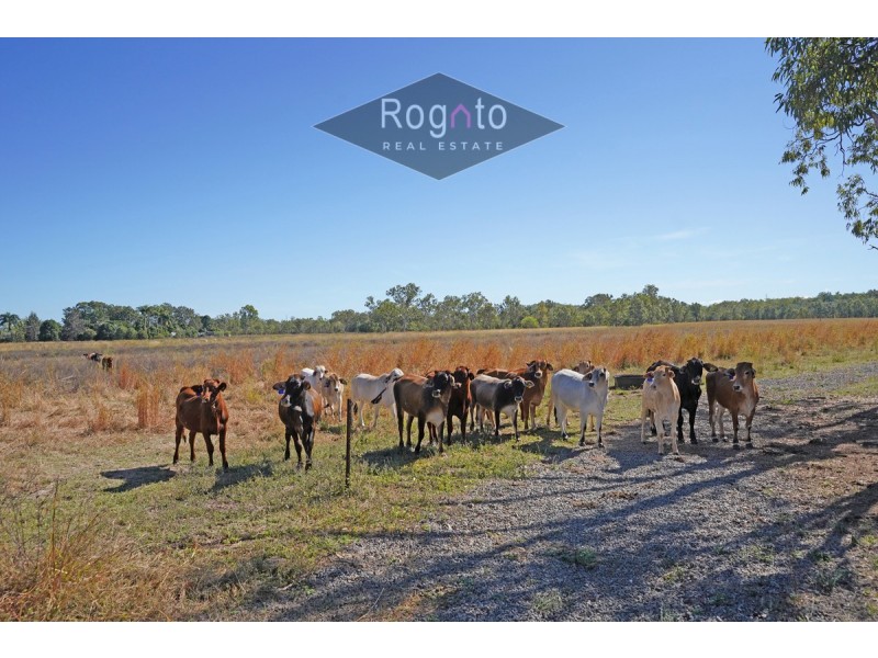 Mareeba QLD 4880