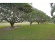 399 Malone Road, Mareeba QLD 4880