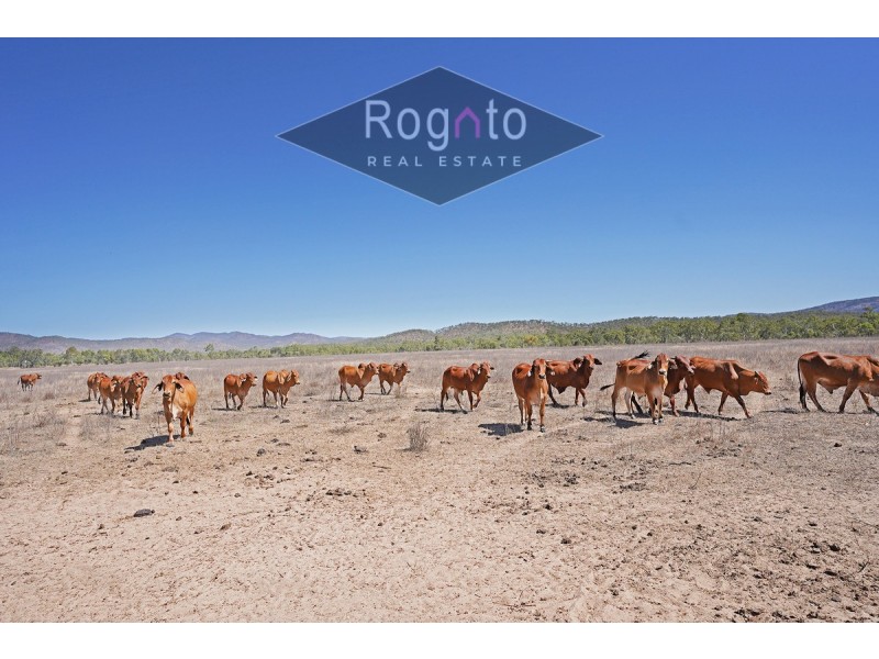 366 Algoman Road, Mutchilba QLD 4872
