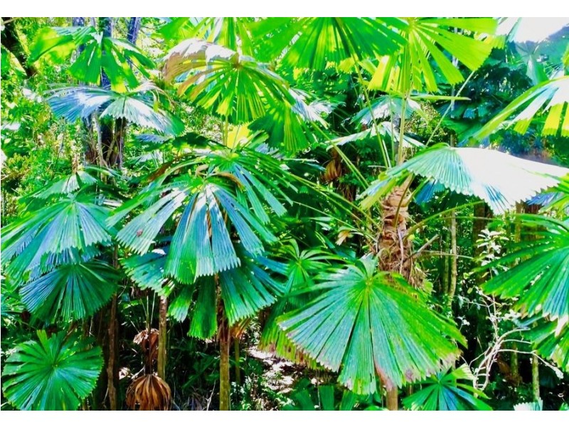 32-34 Greendale Court, Jubilee Heights QLD 4860