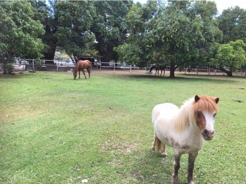 5-7 Homestead Close, Edmonton QLD 4869