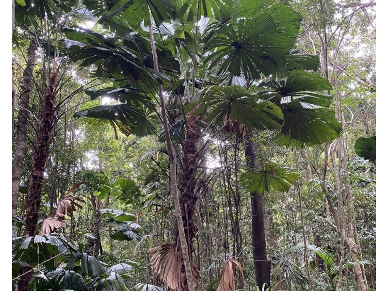 L36 Waterfall Place, Jubilee Heights QLD 4860