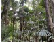 L36 Waterfall Place, Jubilee Heights QLD 4860