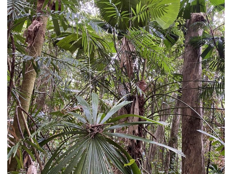 L36 Waterfall Place, Jubilee Heights QLD 4860