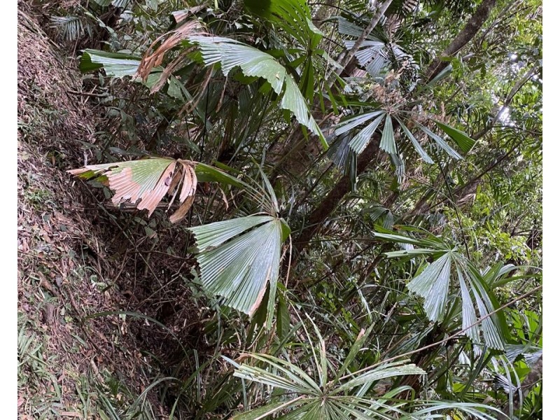 L36 Waterfall Place, Jubilee Heights QLD 4860