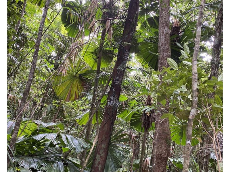 L36 Waterfall Place, Jubilee Heights QLD 4860