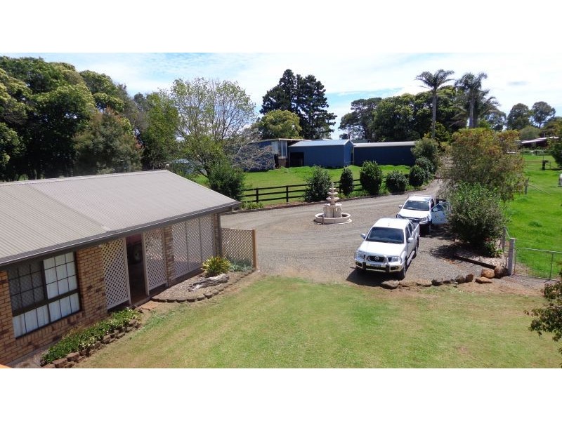 Dorrigo NSW 2453