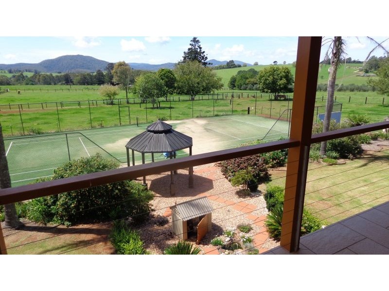 Dorrigo NSW 2453