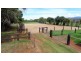 Dorrigo NSW 2453
