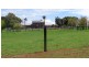 Dorrigo NSW 2453