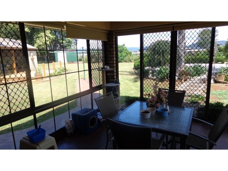 Dorrigo NSW 2453