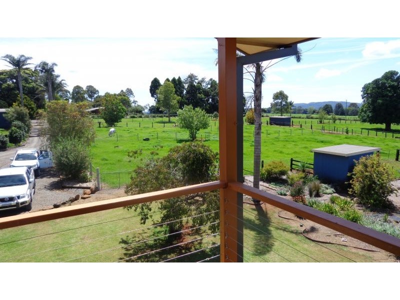 Dorrigo NSW 2453