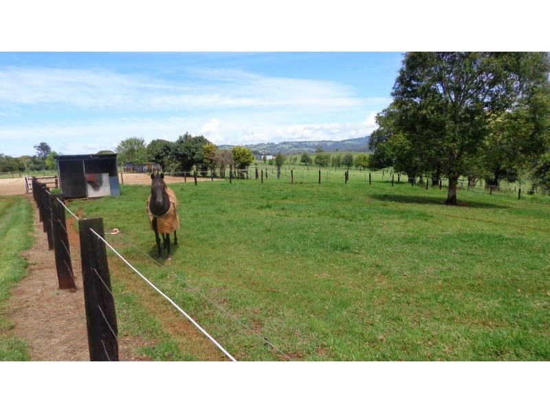 Dorrigo NSW 2453