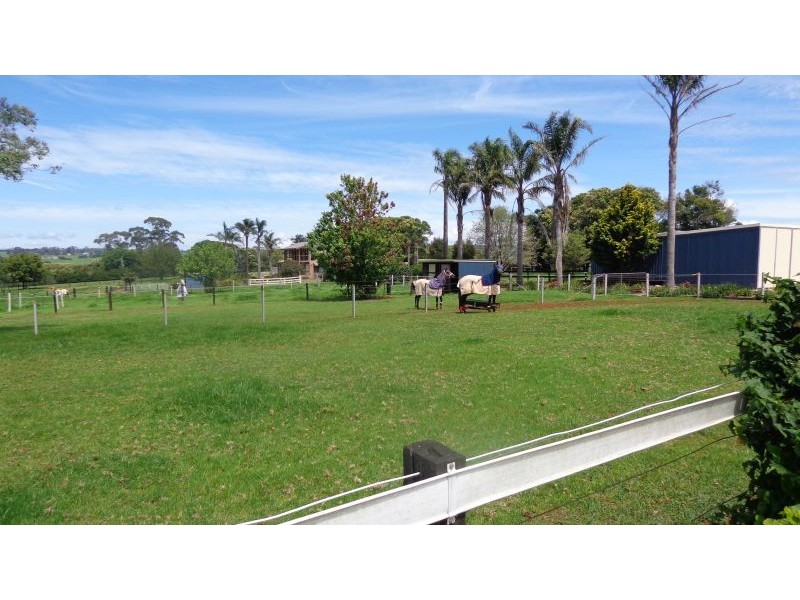 Dorrigo NSW 2453