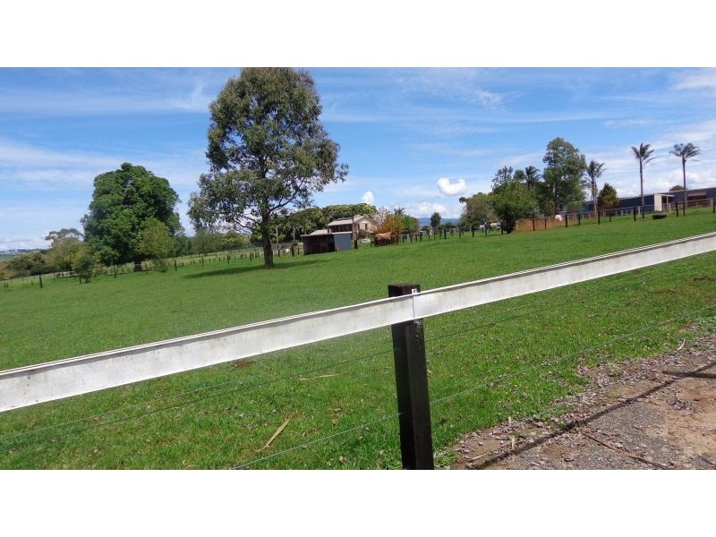 Dorrigo NSW 2453